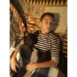 Собака - 13.jpg Собака - 13.jpg